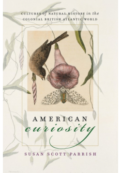 American Curiosity