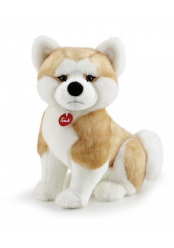 Akita Ascanio klasyczny L