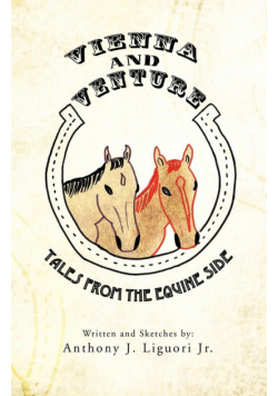 Vienna and Venture