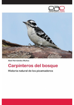 Carpinteros del bosque