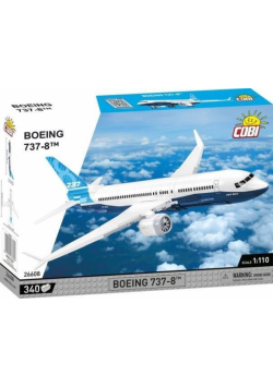 Boeing 737-8