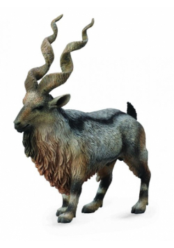 Tadjik Markhor