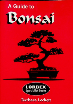 A guide to Bonsai