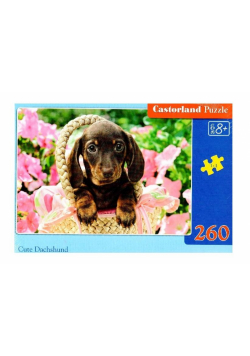 Puzzle 260 Cute Dachshund CASTOR