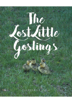 The Lost Little Goslings