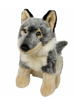 Wilk 28cm