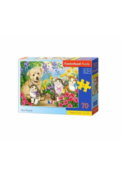 Puzzle 70 Best Friends CASTOR