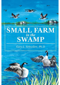 Small Farm in the Swamp