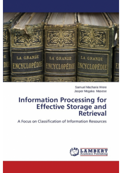 Information Processing for Effective Storage and Retrieval