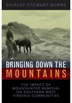 Bringing Down The Mountains