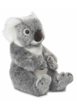 Koala 22 WWF