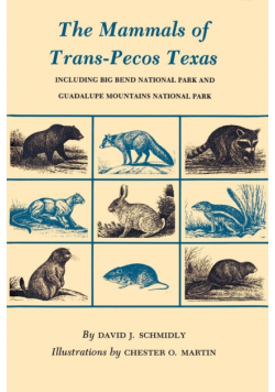 The Mammals of Trans-Pecos Texas