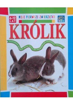 Moje pierwsze zwierzątko królik
