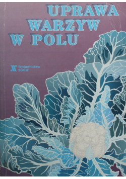 Uprawa Warzyw w Polu