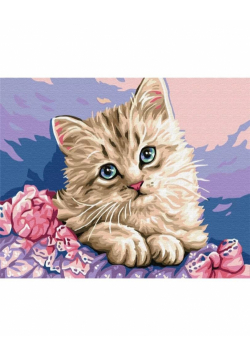 Malowanie po numerach - Niebieskooki kotek 40x50cm