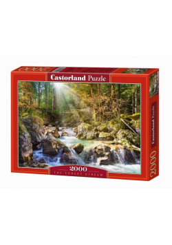 Puzzle 2000 Strumyk w lesie CASTOR