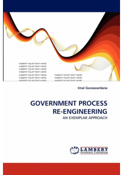Government Process Re-Engineering