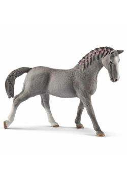 Klacz Trakehner