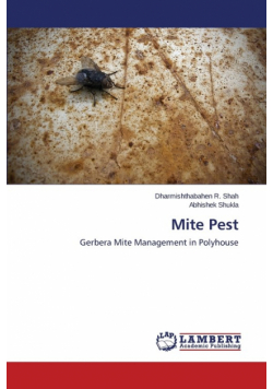 Mite Pest