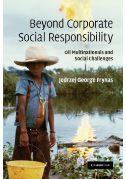 Beyond Corporate Social Responsibility