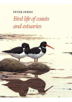 Bird Life of Coasts and Estuaries