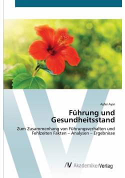Führung und Gesundheitsstand