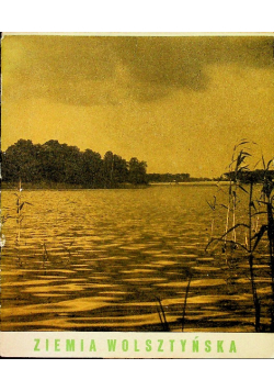 Ziemia wolsztyńska