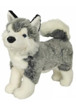 Husky stojący 32cm