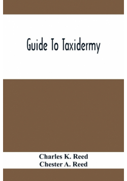 Guide To Taxidermy