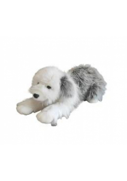 Pies pasterski 63cm