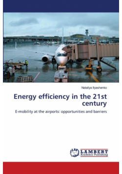 Energy efficiency in the 21st century