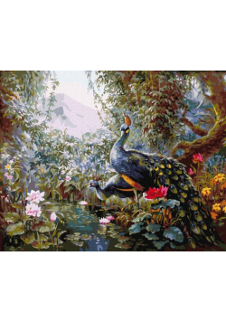 Malowanie po numerach - Bajkowe pawie 40x50cm