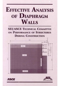 Effective Analysis of Diaphragm Walls