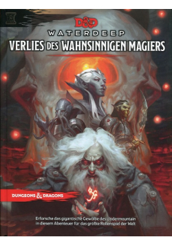 Waterdeep Verlies des Wahnsinnigen Magiers