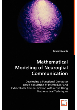 Mathematical Modeling of Neuroglial Communication