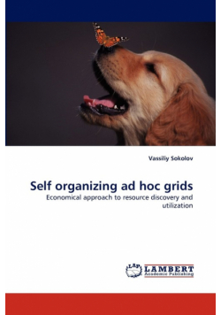 Self Organizing Ad Hoc Grids