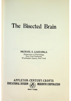 The bisected brain