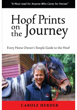 Hoof Prints on the Journey