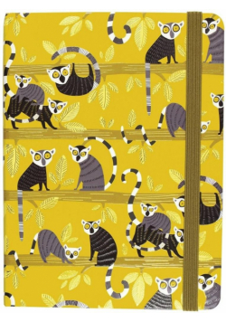 Notatnik midi Palooza Lemurów