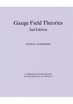 Gauge Field Theories
