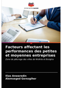 Facteurs affectant les performances des petites et moyennes entreprises