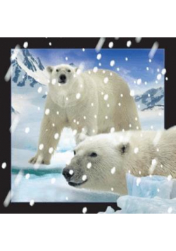 Magnes 3D Niedźwiedzie Polarne w śniegu