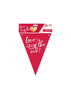 Girlanda flagi papierowa Love is in the air 270cm