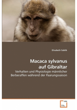 Macaca sylvanus auf Gibraltar