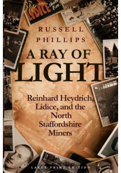 A Ray of Light (Large Print)
