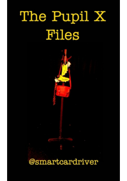 The Pupil X Files