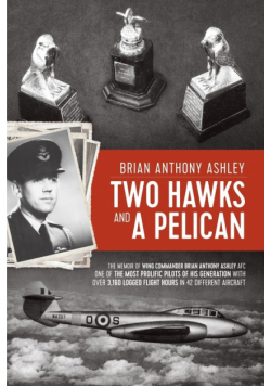Two Hawks and a Pelican