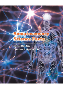 Somatosensory Science Facts