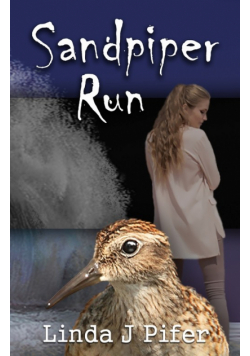 Sandpiper Run