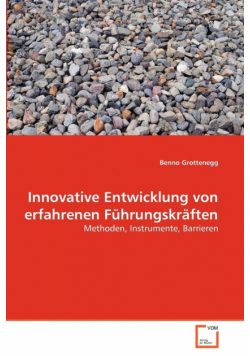 Innovative Entwicklung von erfahrenen Führungskräften
